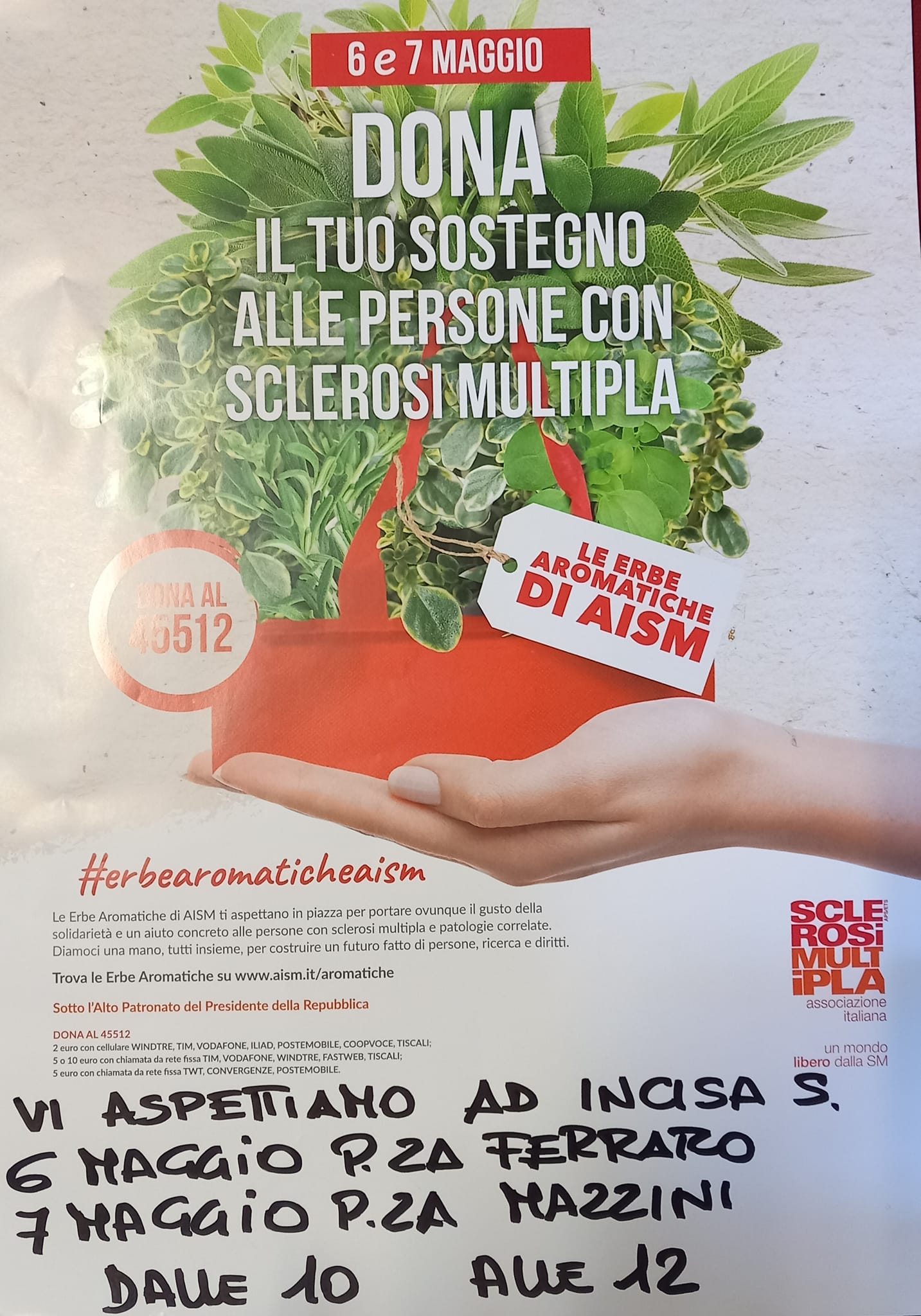 Incisa Scapaccino | Le erbe aromatiche di AISM