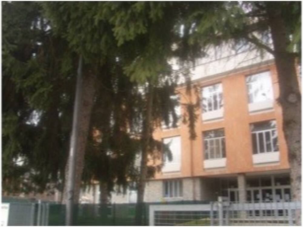 Scuola Secondaria di Primo Grado Ing. G. Albenga